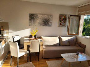 Apartman Stašenka